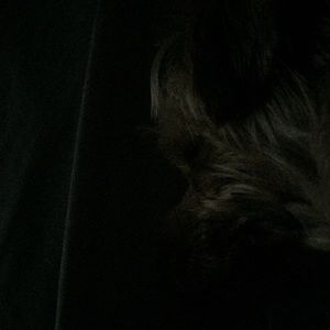 Meet your Posher, Toni